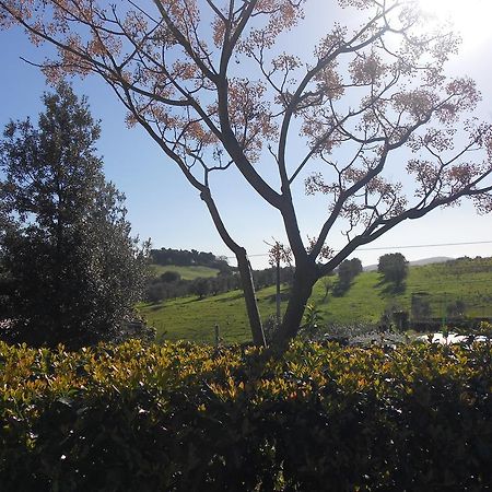 גרוסטו Agriturismo La Poiana מראה חיצוני תמונה