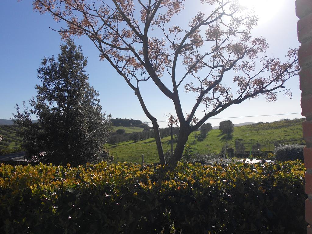 גרוסטו Agriturismo La Poiana מראה חיצוני תמונה